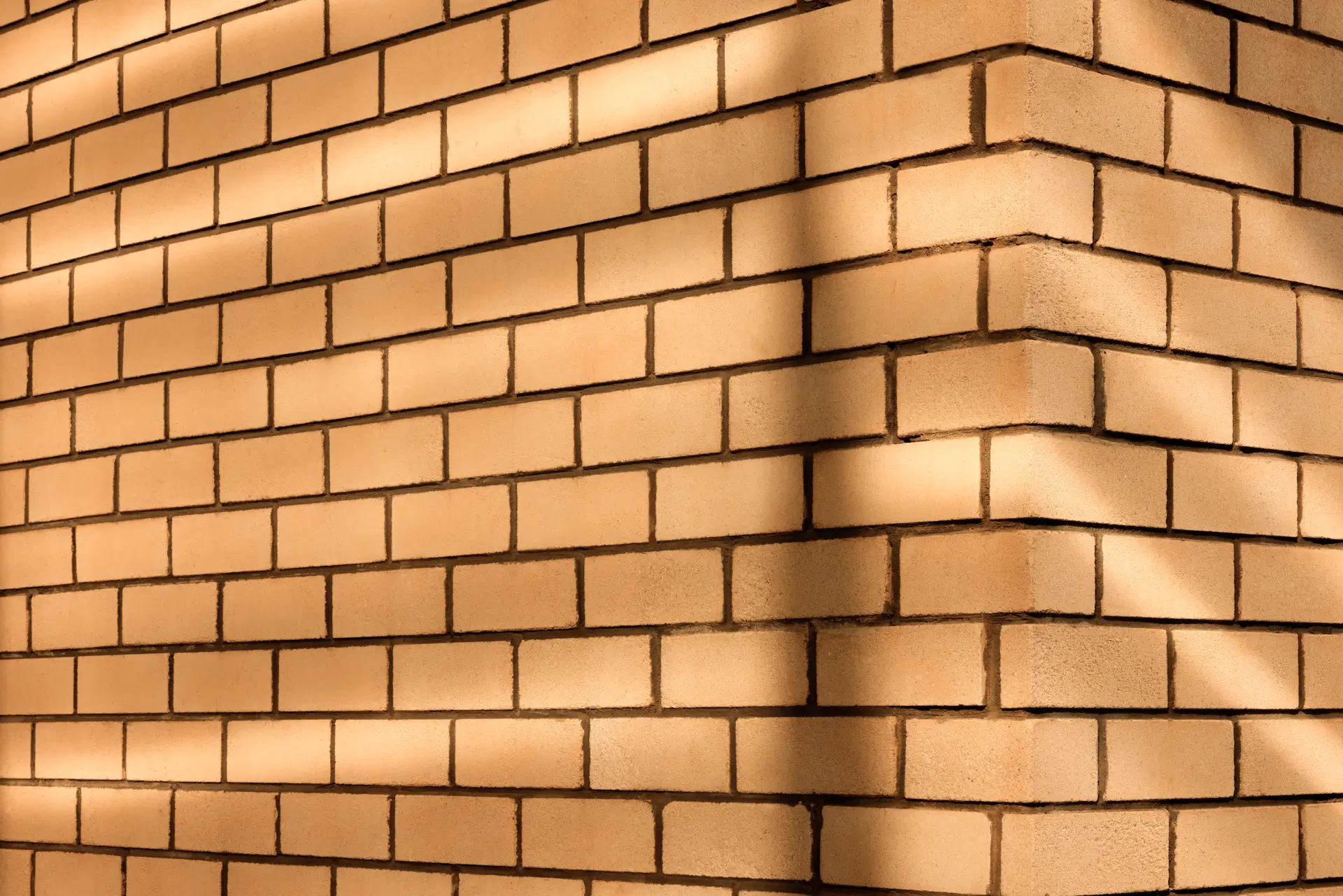 Through moisture control, you can secure your family’s health and avoid any damage to your property.